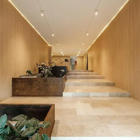 Nido Roma-2