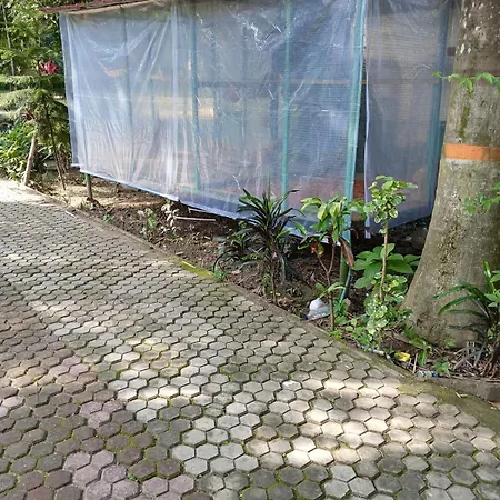 Scout Garden-3