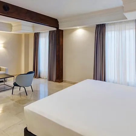 Hotel Sercotel Alfonso VI-3