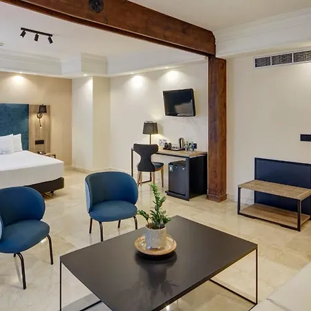 Hotel Sercotel Alfonso VI-3