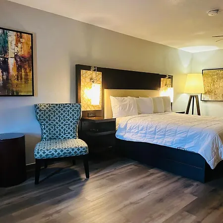 Executive Inn & Suites West Columbia-3