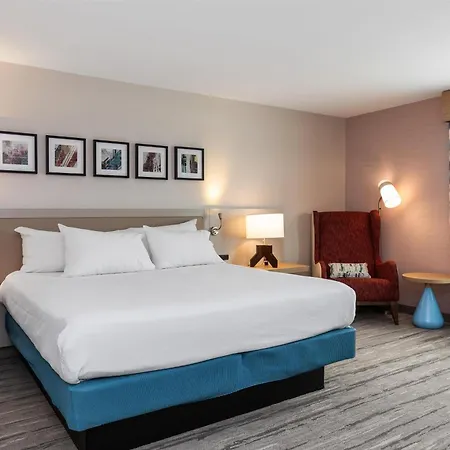 Hilton Garden Inn Auburn-3