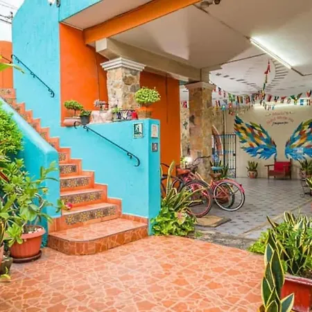 Hotel Maria'S Nicte Ha-3