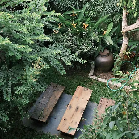 Cat Homestay-2