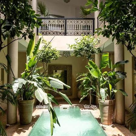 Riad O-2