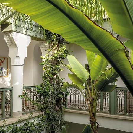 Riad Jaaneman-2
