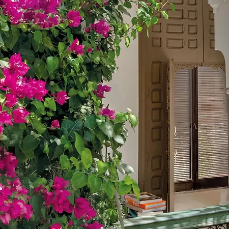 Riad Jaaneman-2