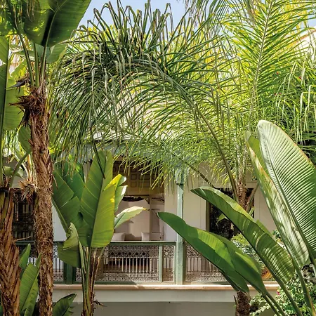 Riad Jaaneman-2