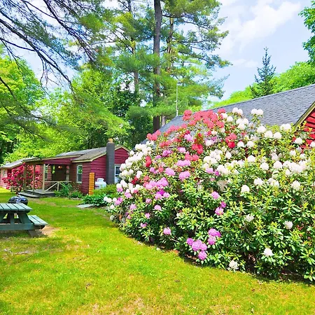 Phoenicia Lodge-2