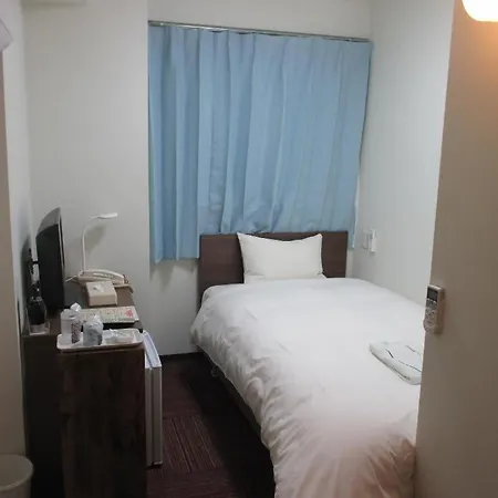 Ikebukuro Royal Hotel Higashiguchi-3