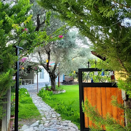 Kuruyanos Ağaç Evleri-2
