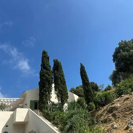Casa Mimosa-3