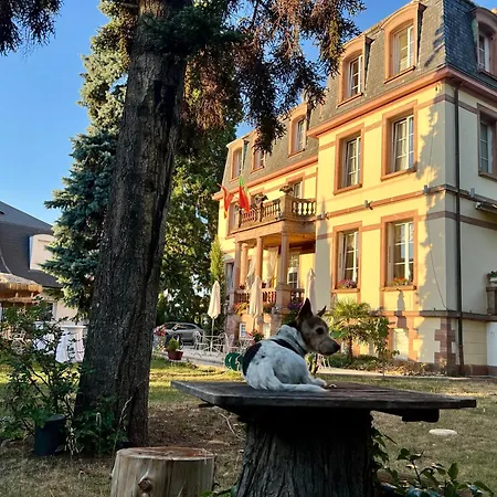 Hôtel Le Manoir-3