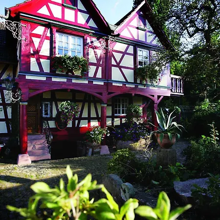 Romantik-Pension Vogt-2