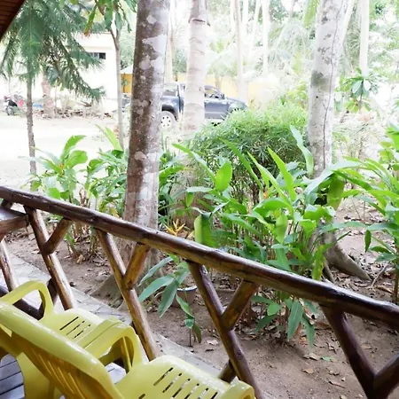 Paradise Palms-2