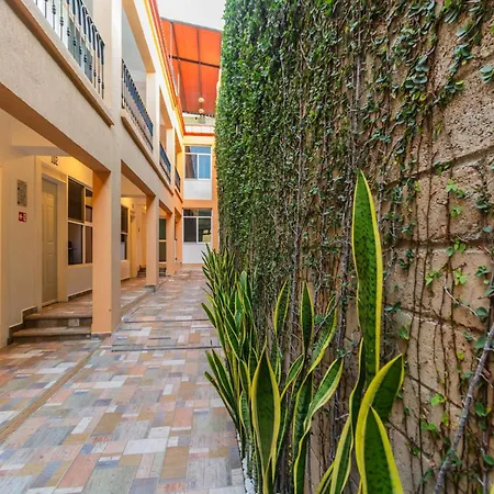 Casa Mayahuel-2