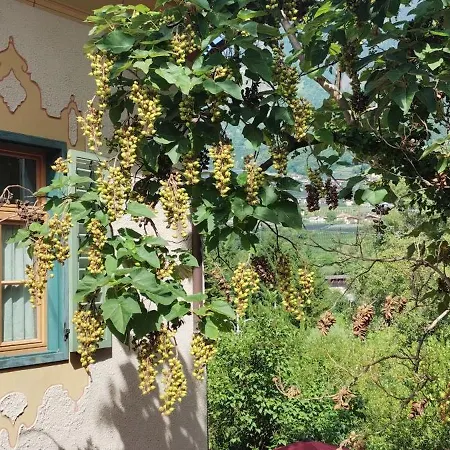 Schlosswirt Forst-2
