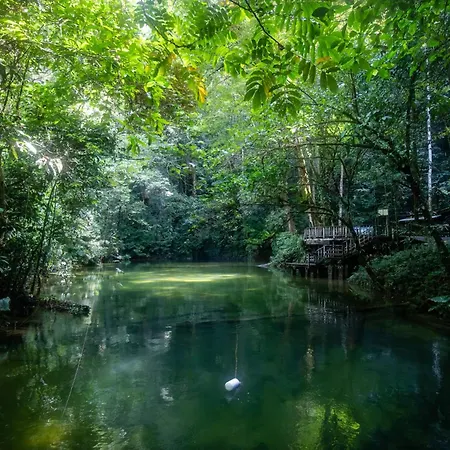 Mulu National Park-2