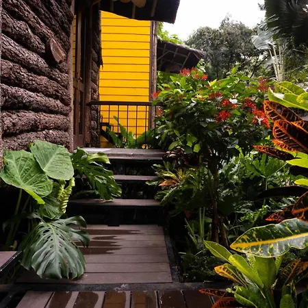 Trang An Ecolodge-3