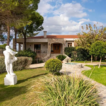 Kairos Valley Wellness & Longevity-3