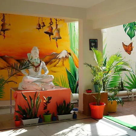 Anand Prakash Yoga Ashram & Retreat Center-3