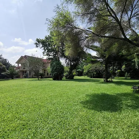 Garden Escape-3