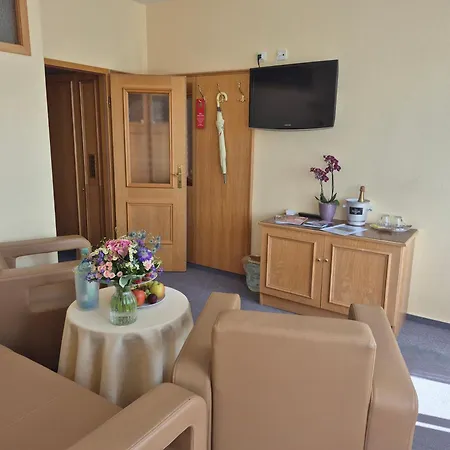 Panorama Hotel Oberwiesenthal-2
