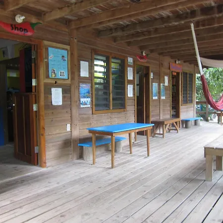 Hotel Chillies And Native Sons Diving-3