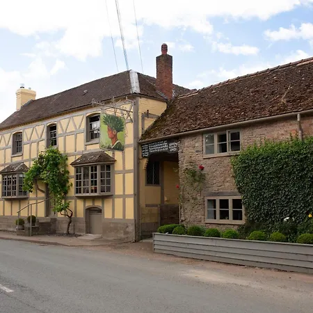 The Greenman Fownhope Hereford-2