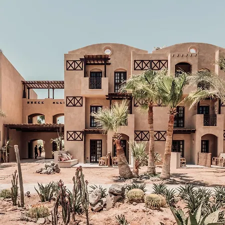 Cook'S Club El Gouna (Adults Only)-2