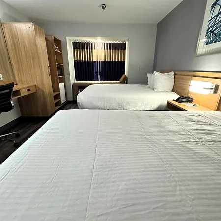 Microtel Inn & Suites By Wyndham Tuscaloosa East-3