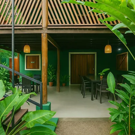Hotel Boutique The Green Jungle House-3