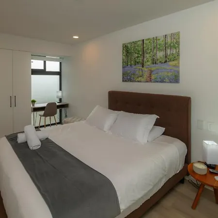 Bee Suites Escalante - San Jose-3