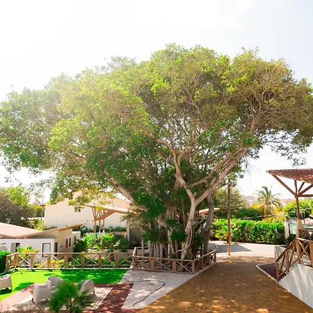 Malvales Resort-2