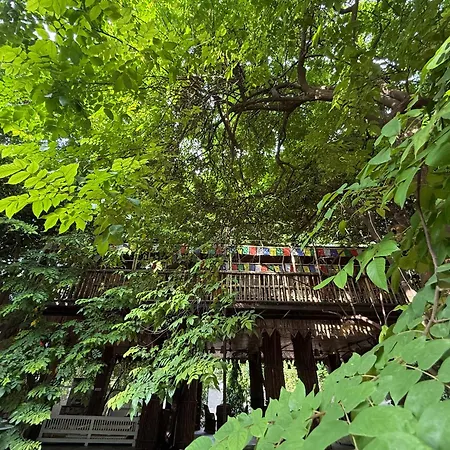 Hotel Green Heaven Resort-3