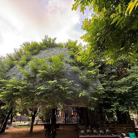 Hotel Green Heaven Resort-3