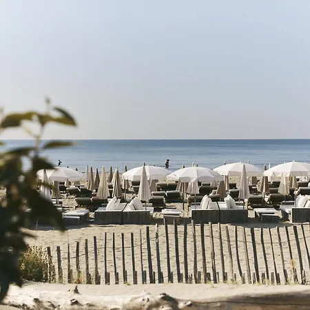 Hôtel Plage Palace&Spa-2