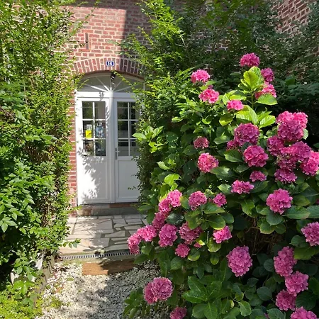 Ma jolie maison de Pont l'Evêque-3