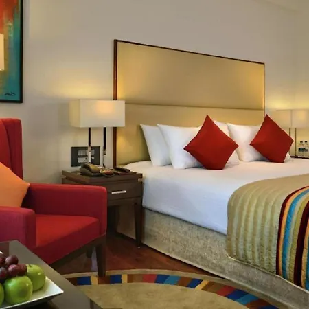 Hotel Royal Infinity Near Delhi Airport-3