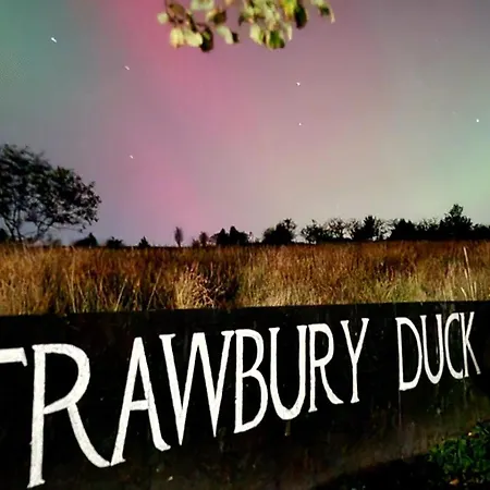 The Strawbury Duck Inn-3
