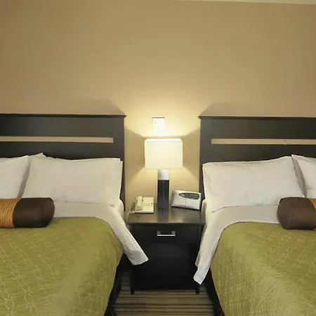 Best Western Plus Mont-Laurier-2