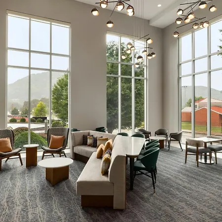 Springhill Suites By Marriott Roanoke-3