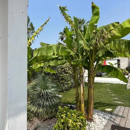 Villa Le Sud-2