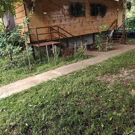 Green Hills Farm And Guest House-3