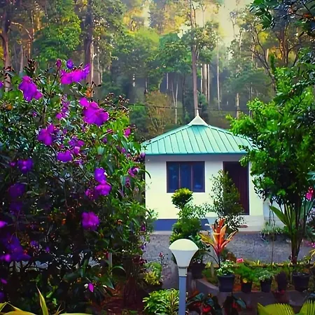 Mist Nest Munnar-2