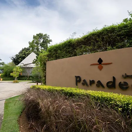 Paradee-3