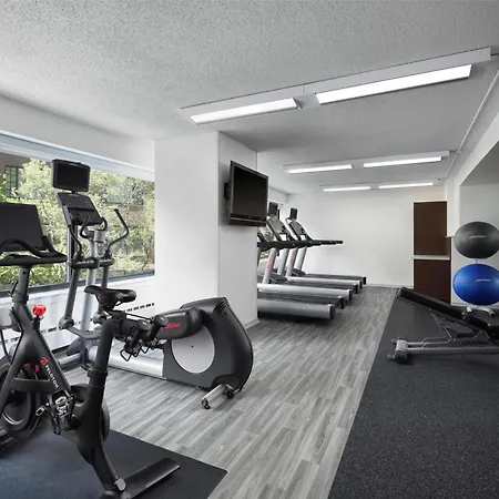 Sonesta Es Suites Chicago Downtown Magnificent Mile Medical-3