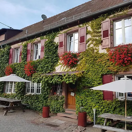 Hotel Du Haut Koenigsbourg- Entre Vignes Et Chateau-2