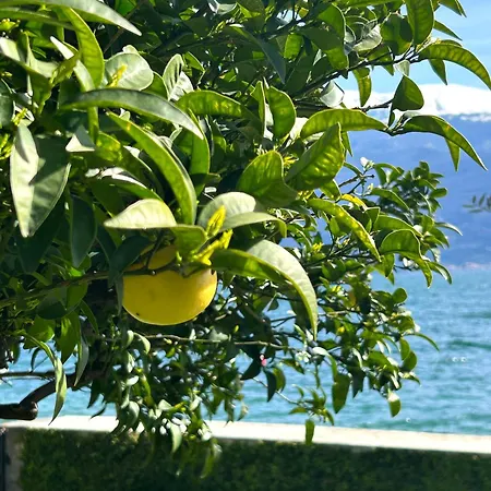 Hotel Villa Giulia-3