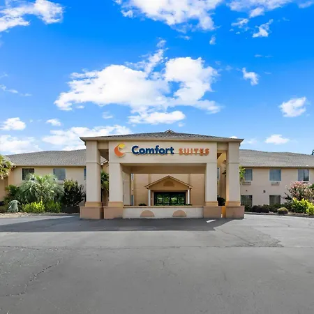 Comfort Suites Milledgeville-3
